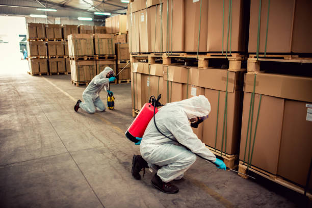 Best Wildlife Control Services  in Shenandoah, LA