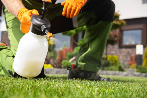 Best Rat Extermination Near Me  in Shenandoah, LA