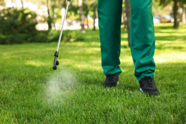 Best Insect Control  in Shenandoah, LA