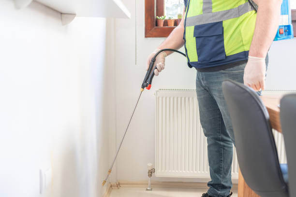 Best Wasp Removal Services  in Shenandoah, LA