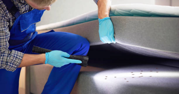 Best Best Pest Control Companies  in Shenandoah, LA