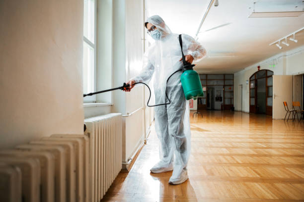 Best Exterminator Services  in Shenandoah, LA