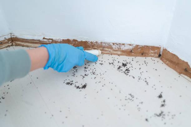 Trusted Shenandoah, LA Pest Control Experts