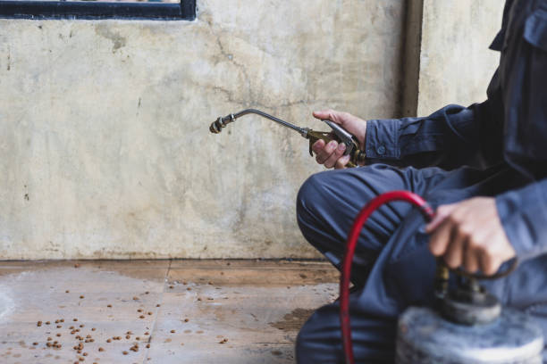 Best Pest Control Near Me  in Shenandoah, LA